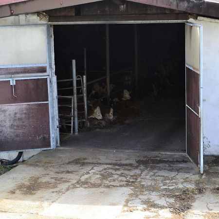 Appartamento An Der Kapf Münsingen Esterno foto